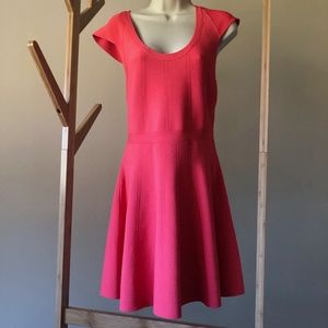 Guess A-Line Dress With Gold Zipper